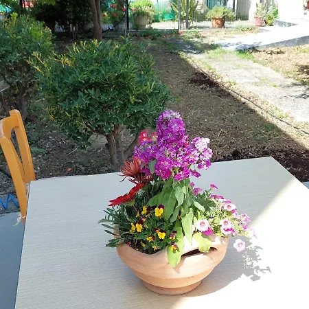 Sonia Holiday home Chania (Crete)